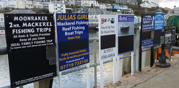 Boat trips in Looe